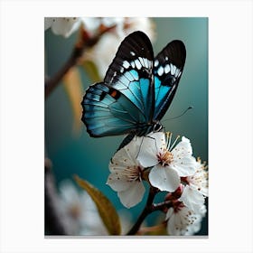 Blue Butterfly On Cherry Blossom Canvas Print