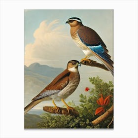 Eurasian Sparrowhawk Haeckel Style Vintage Illustration Bird Canvas Print
