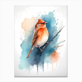 Red Cardinal 1 Canvas Print