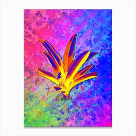 Boat Lily Botanical in Acid Neon Pink Green and Blue n.0272 Canvas Print