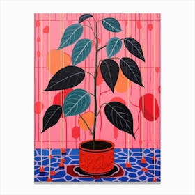 Pink And Red Plant Illustration Rubber Plant Ficus 3 Canvas Print