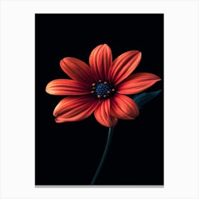 Daisy 7 Canvas Print