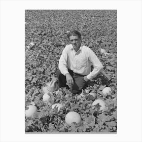 Ernest W Kirk Jr,Fsa (Farm Security Administration) Client, Amidst The Honeydew Melons Which He Is Raising Canvas Print