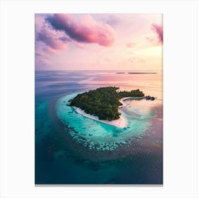 Island At Sunset In The Maldives Canvas Print