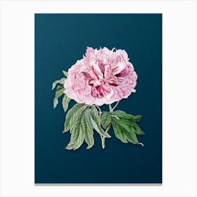 Vintage Double Red Curled Tree Peony Botanical Art on Teal Blue n.0844 Canvas Print