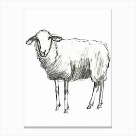 B&W Sheep Canvas Print
