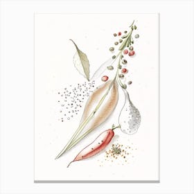 White Pepper Spices And Herbs Pencil Illustration 3 Canvas Print