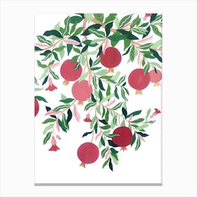 Mediterranean Plant Pomegranate Tree Botanical Painting Canvas Print