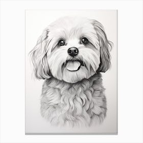 Maltese Dog, Line Drawing 3 Canvas Print