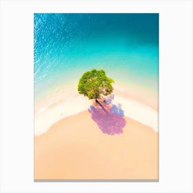 Lone Tree On The Beach Canvas Print