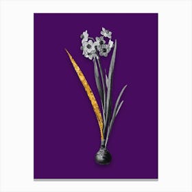Vintage Daffodil Black and White Gold Leaf Floral Art on Deep Violet n.0762 Canvas Print