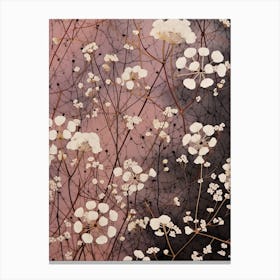 Flower Illustration Gypsophila Babys Breath 4 Canvas Print