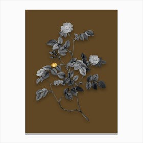 Vintage Sweetbriar Rose Black and White Gold Leaf Floral Art on Coffee Brown n.0287 Canvas Print