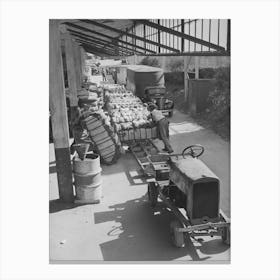 Unloading Bales Of Cotton From Truck Drawn Trailers At Compress, Houston Texas, Cotton Was Transported To The Canvas Print