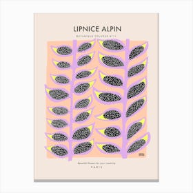 Botanic Collection - Peach Fuzz - Alpine Lipnice Art Print Canvas Print