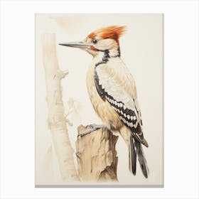 Vintage Bird Drawing Woodpecker 1 Canvas Print