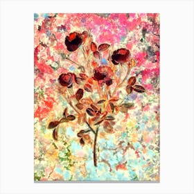 Impressionist Burgundian Rose Botanical Painting in Blush Pink and Gold Canvas Print