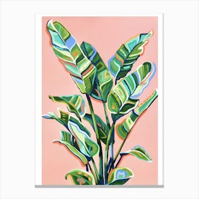 Banana Plant Canvas Print