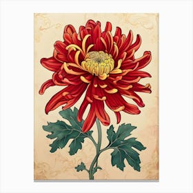 Chrysanthemum 22 Canvas Print