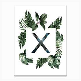 Botanical Alphabet X Canvas Print