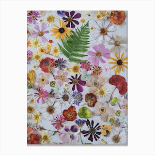 Pressed Flowers Canvas Print by Blowy in The Wind - Fy