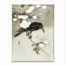 Crow With Cherry Blossom (1900 1930), Ohara Koson Canvas Print