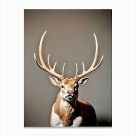 Deer Head 31 Canvas Print