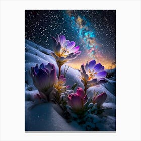 Snow Flowers at night Canvas Print