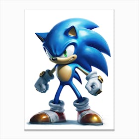 Sonic The Hedgehog 12 Canvas Print