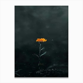 Dark Flower 22 Canvas Print