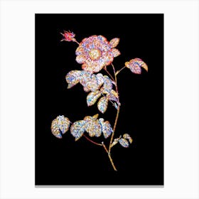 Stained Glass Vintage Rose Mosaic Botanical Illustration on Black n.0190 Canvas Print