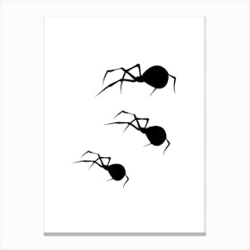 Silhouette Of Spiders 1 Canvas Print