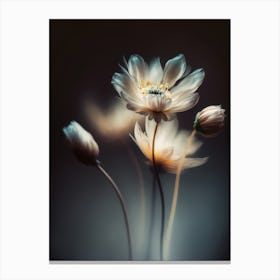 Growing At Night Canvas Print