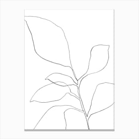 6 Leaf Plant Canvas Line Art Print