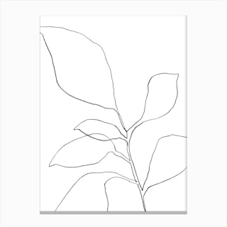 6 Leaf Plant Canvas Print