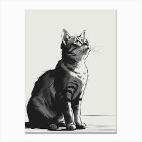 Black And White Drawing Of A Cat Canvas Print