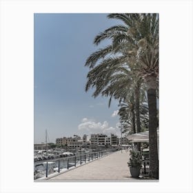 Sa Coma Mallorca Palm Trees On The Beach Canvas Print