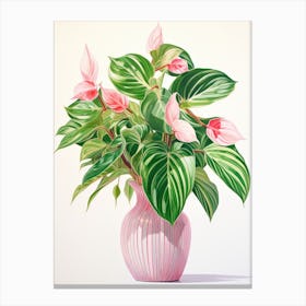 Pink Cyclamen Canvas Print