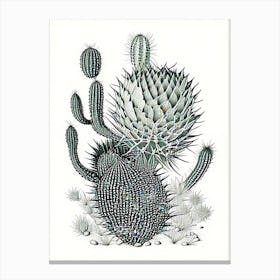 Stenocactus Cactus William Morris Inspired 3 Canvas Print