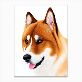 Akita Illustration dog Canvas Print