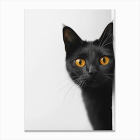 Black Cat Peeking 1 Canvas Print