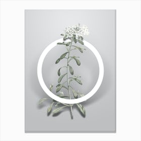 Vintage Small White Flowers Minimalist Flower Geometric Circle on Soft Gray n.0192 Canvas Print