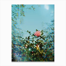 Spring Rose Glitter Canvas Print