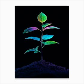 Plant Grows In The Dark 4 Canvas Print