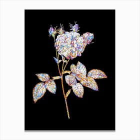 Stained Glass Pink Agatha Rose Mosaic Botanical Illustration on Black n.0172 Canvas Print