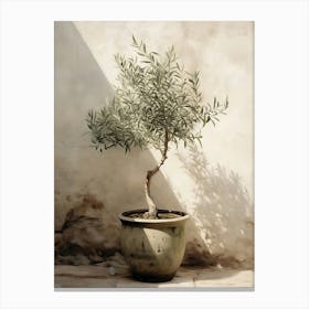 Olive Tree In Pot Canvas Print