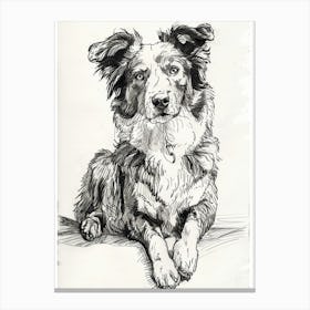 Australian Shepherd Dog Line Sketch 3 Canvas Print