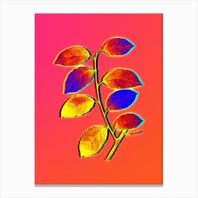 Neon Eared Willow Botanical in Hot Pink and Electric Blue n.0437 Canvas Print