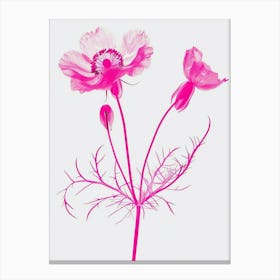 Hot Pink Nigella 2 Canvas Print