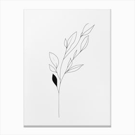 Line Drawing Of A Leaf 19 Canvas Print